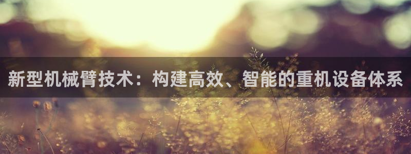 威九国际空降