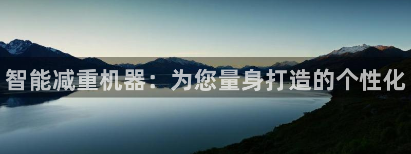 威九国际H