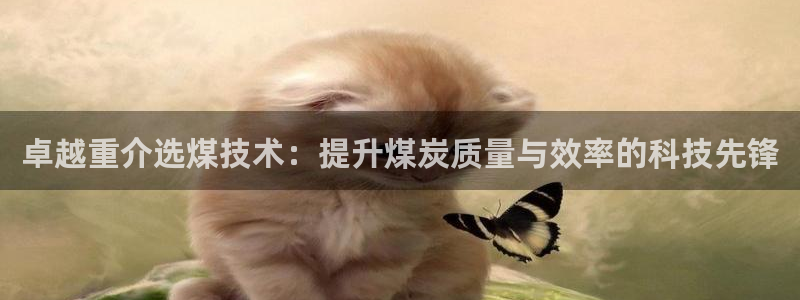 威九国际狂飚电影