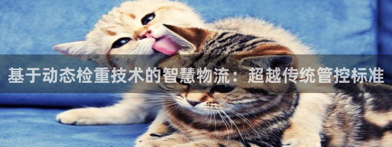 威九国际精
