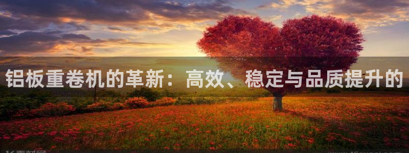 保定威九网络科技有限公司电话