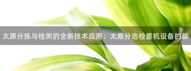 威九国际电视
