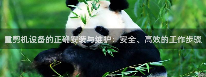 威九国际网站入口官网首页