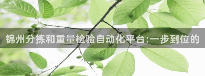 威九国际电影2022年9月月
