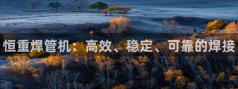 威九国际精免费下载