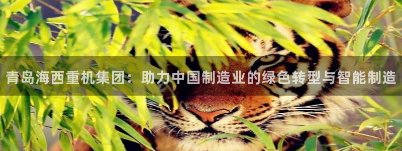 威九国际78mb游戏