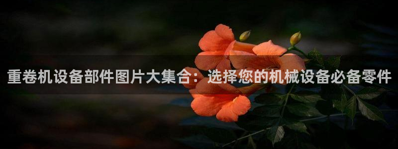 威九国际可以退钱吗怎么退的
