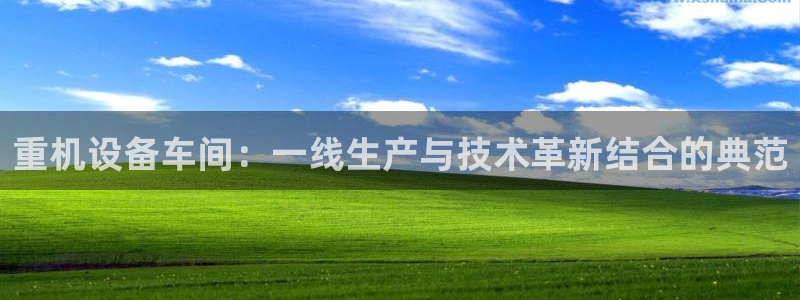威九国际女明星