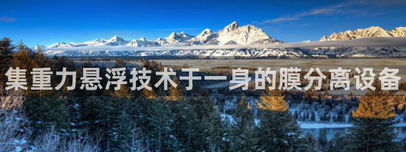 威九国际app网站官网