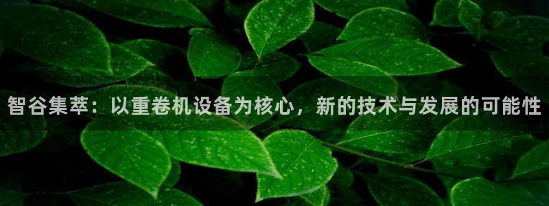 威九国际游戏app(网站)：智谷集萃：以重卷机设备为核心，新
