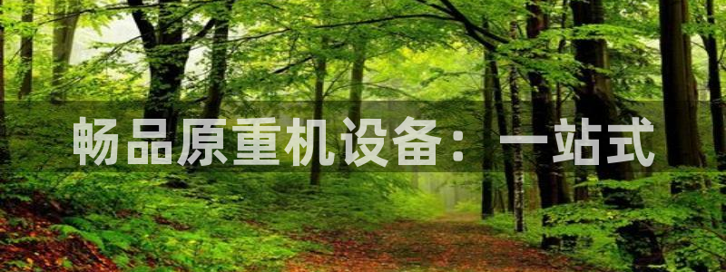 威九国际官网版下载：畅品原重机设备：一站式