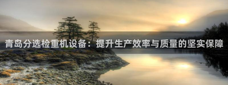 78mapp威九国际网页版：青岛分选检重机设备：提升生产效率