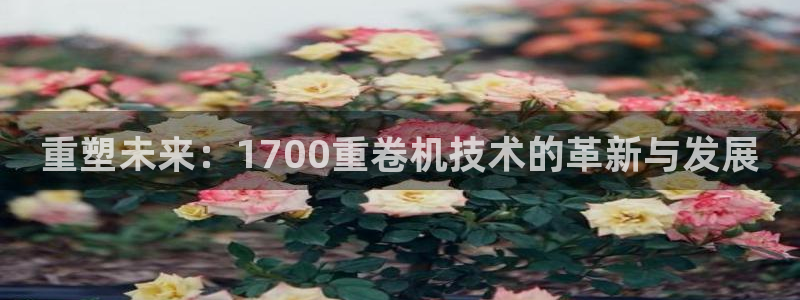 威九国际FT：重塑未来：1700重卷机技术的革新与发展