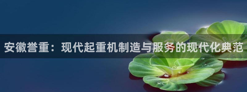 威九国际电影2022年9月月：安徽誉重：现代起重机制造与服务