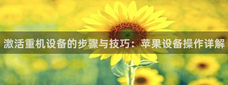 威九国际取款不到账：激活重机设备的步骤与技巧：苹果设备操作详