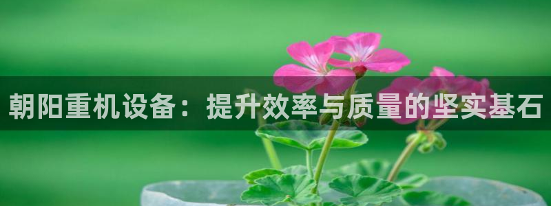 威九国际里的长头发帅哥名字