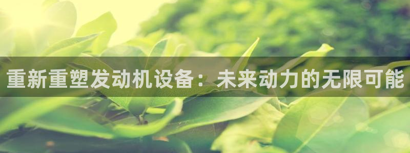 威九国际服：重新重塑发动机设备：未来动力的无限可能