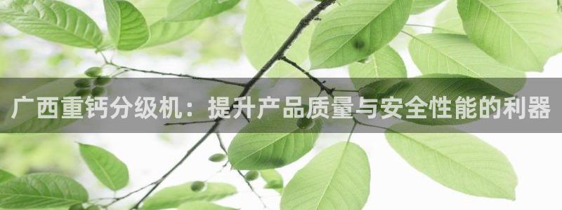 威九国际网站客服电话多少：广西重钙分级机：提升产品质量与安全