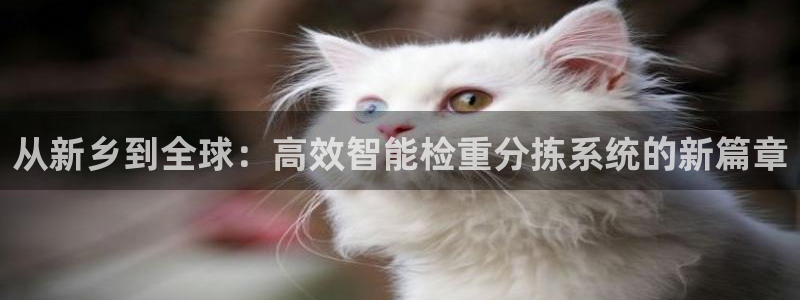 威九国际X8：从新乡到全球：高效智能检重分拣系统的新篇章