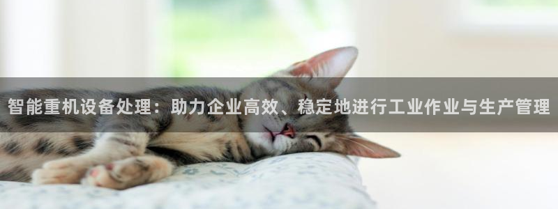 保定威九网络科技有限公司招聘