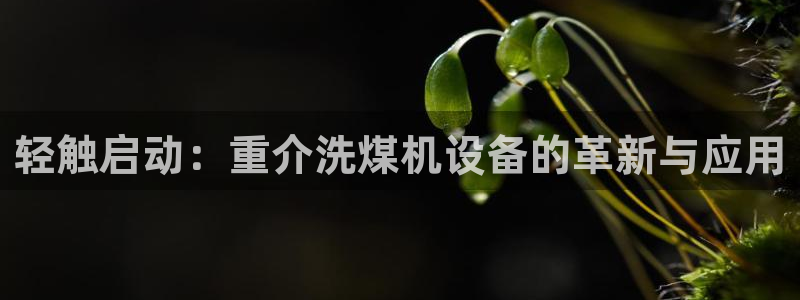 威九国际客服电话人工服务：轻触启动：重介洗煤机设备的革新与应