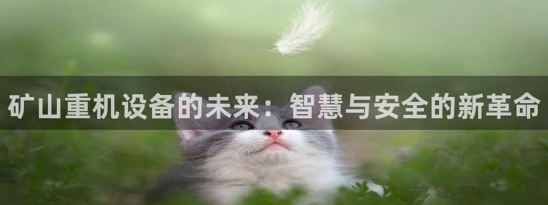 威九国际78mb游戏：矿山重机设备的未来：智慧与安全的新革命