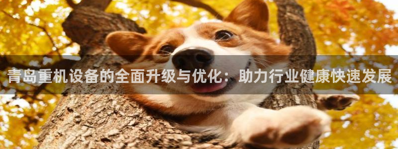 威九国际网站经常打不开怎么办：青岛重机设备的全面升级与优化：