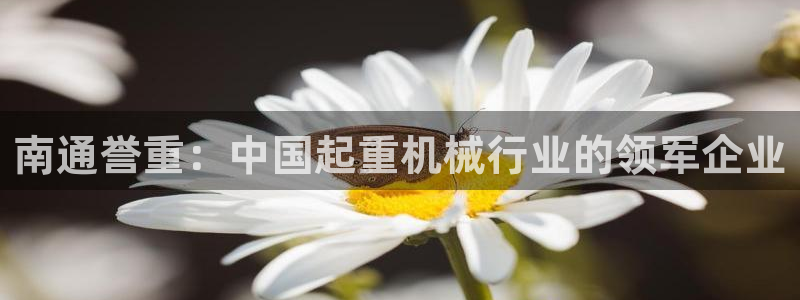 威九国际AN：南通誉重：中国起重机械行业的领军企业