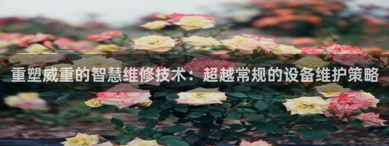 威九国际最受欢迎的功能