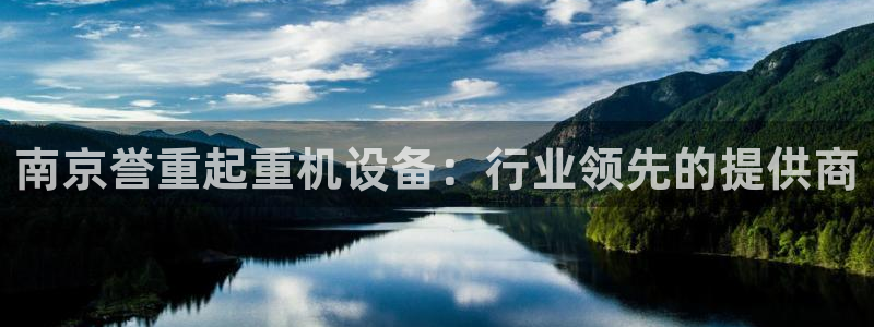 威九国际网站链接怎么打开：南京誉重起重机设备：行业领先的提供