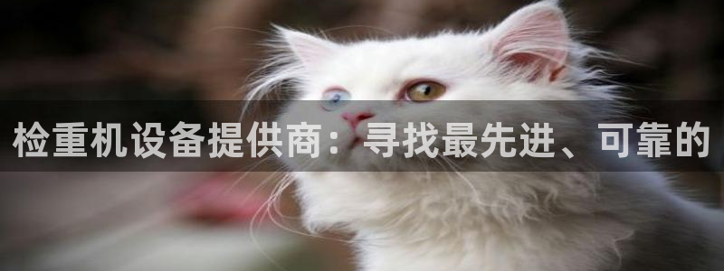 威九国际免费版