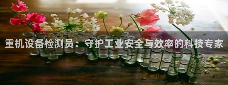 威九国际v96bet下载：重机设备检测员：守护工业安全与效率
