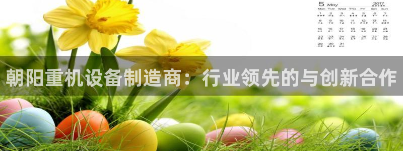 威九国际的金融服务怎么样：朝阳重机设备制造商：行业领先的与创