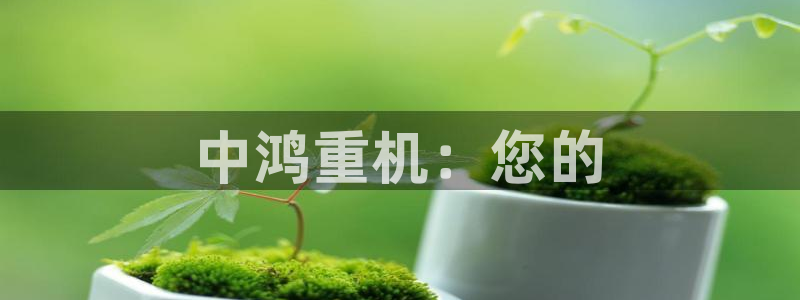 威九国际网站入口官网首页登录：中鸿重机：您的