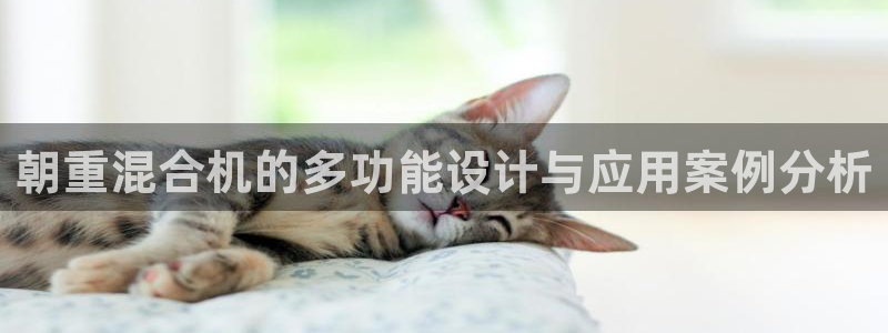 威九国际动漫：朝重混合机的多功能设计与应用案例分析