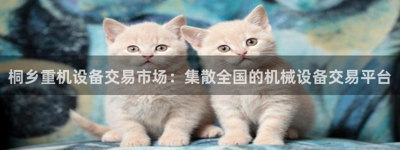 威九国际精免费下载：桐乡重机设备交易市场：集散全国的机械设备