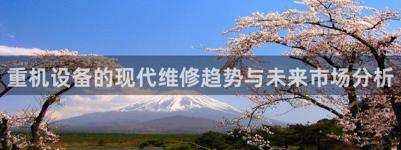 威九国际PPT