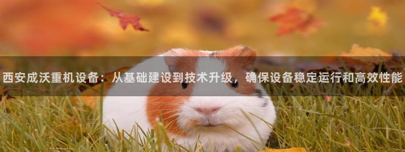 威九国际78mapp官网版下载