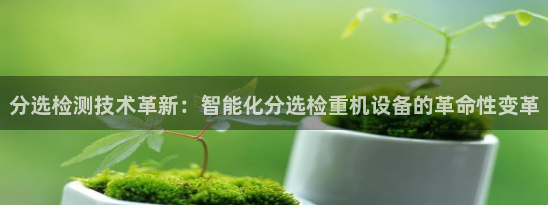 威九国际空降服务女演员名字