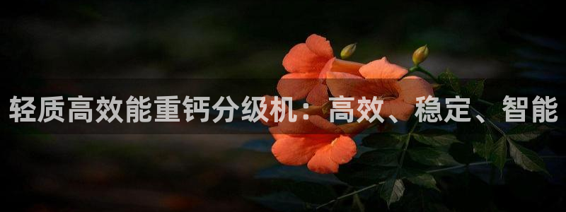 78mapp威九国际一：轻质高效能重钙分级机：高效、稳定、智
