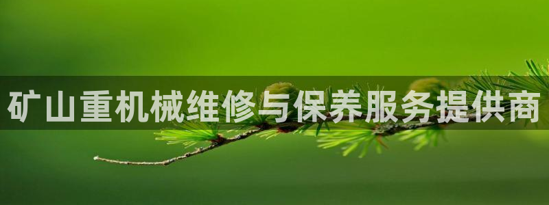 威九国际app网站官网：矿山重机械维修与保养服务提供商