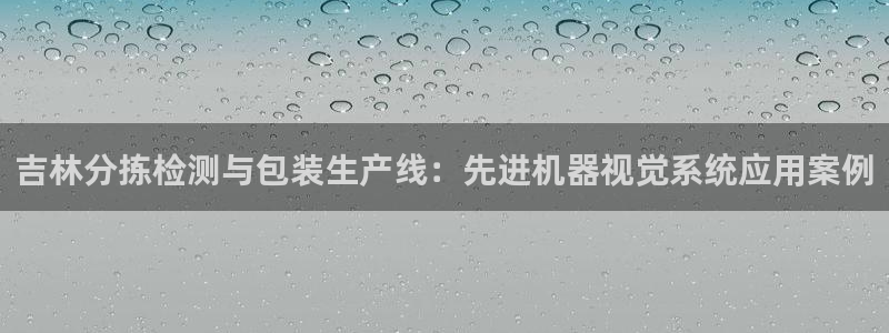 威九国际78m九妹：吉林分拣检测与包装生产线：先进机器视觉系