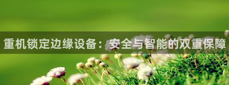 威九国际女主名字：重机锁定边缘设备：安全与智能的双重保障