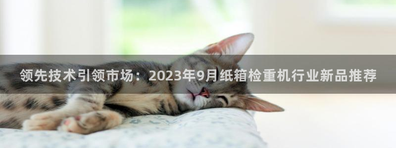 威九国际游戏入口：领先技术引领市场：2023年9月纸箱检重机