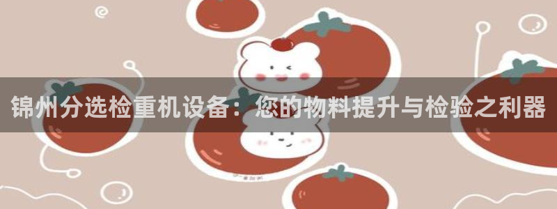 威九国际游戏app网址：锦州分选检重机设备：您的物料提升与检