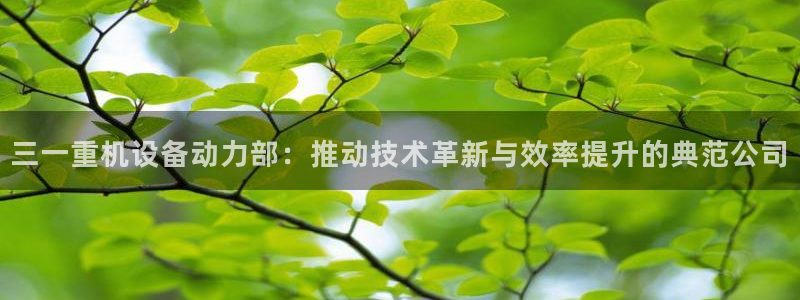 威九国际MV：三一重机设备动力部：推动技术革新与效率提升的典