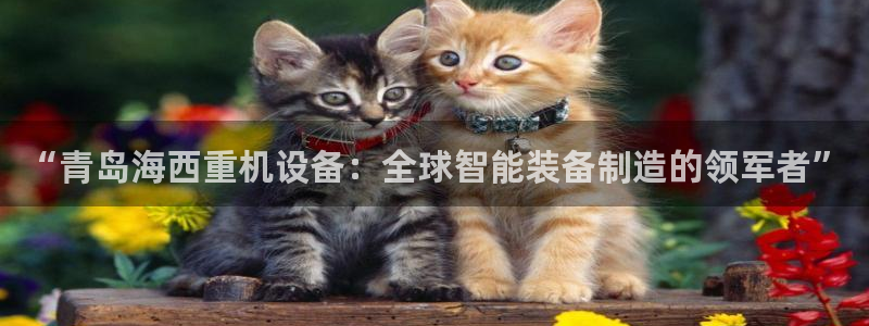 威九国际MV：“青岛海西重机设备：全球智能装备制造的领军者”