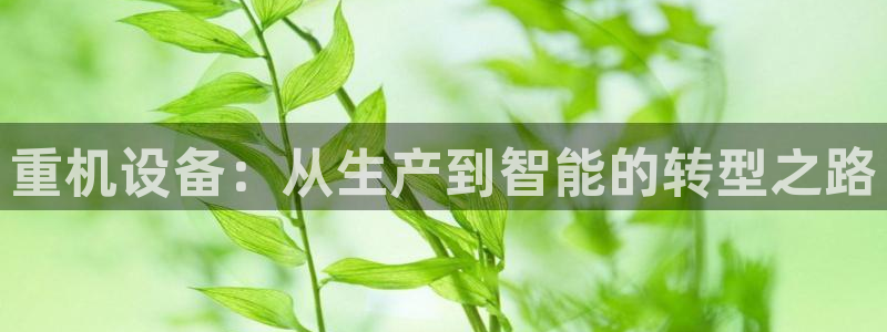 威九国际网站进入产品分类：重机设备：从生产到智能的转型之路