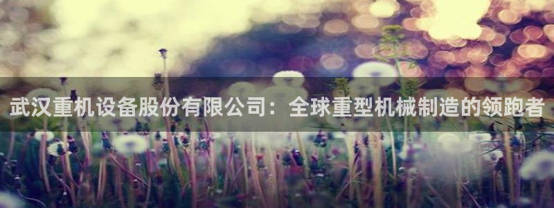 威九国际免费：武汉重机设备股份有限公司：全球重型机械制造的领