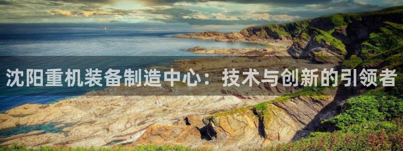 威九国际特殊奖励：沈阳重机装备制造中心：技术与创新的引领者